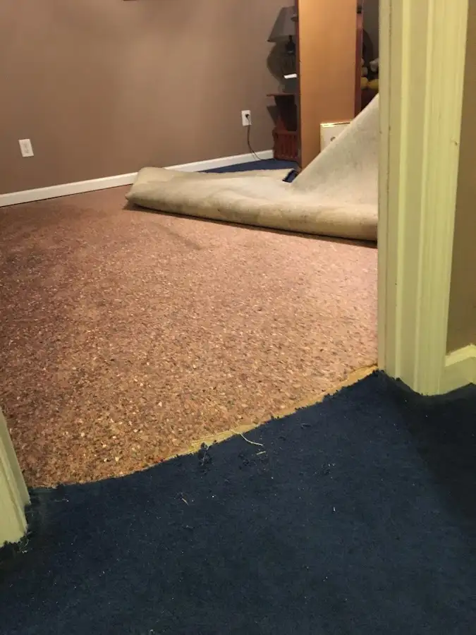 Carpet pad removal revealing water damage during Water Mitigation Services in Azusa